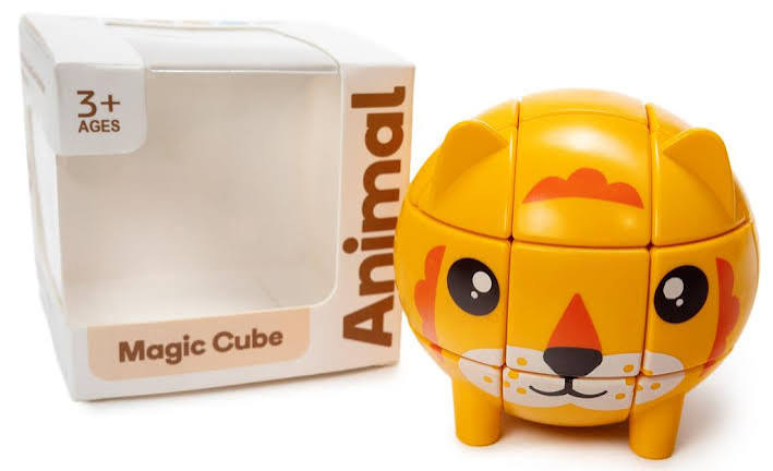 Lion Beat Activities Cube