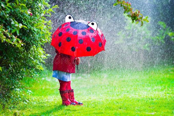 Pinterest Umbrella